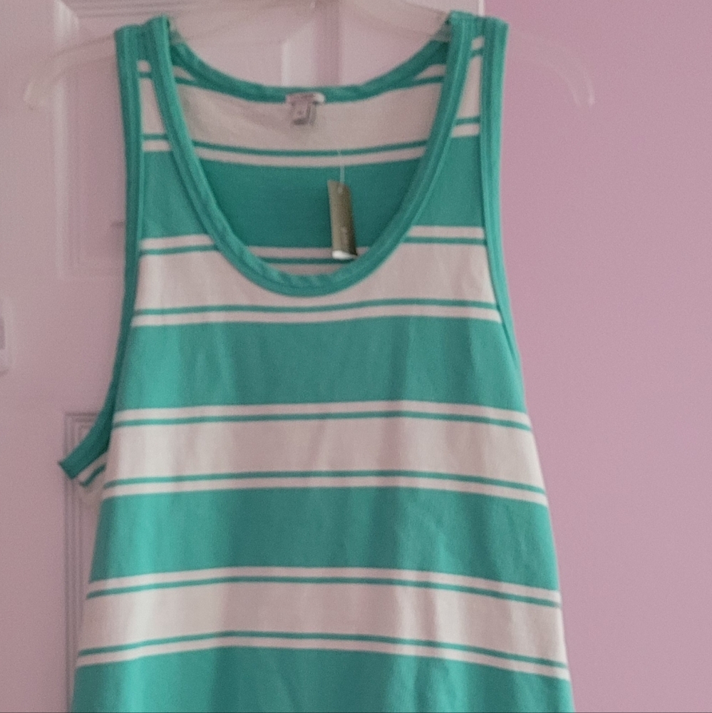 Jcrew sleeveless ladies dress